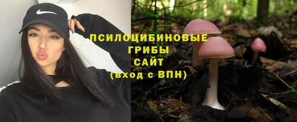 МДПВ Новодвинск