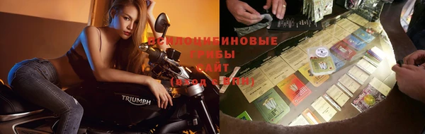 МДПВ Новодвинск