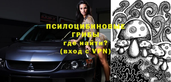 МДПВ Новодвинск