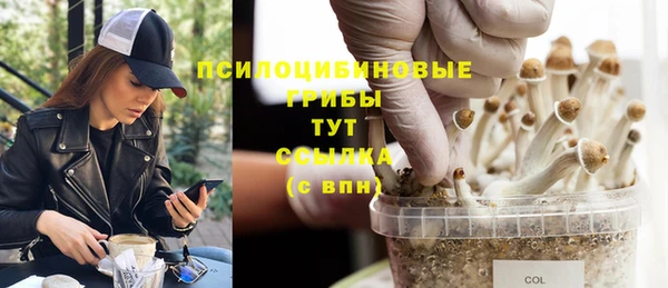 меф Новозыбков