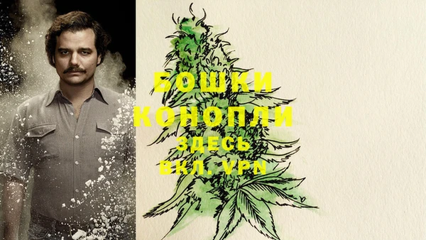 МДПВ Новодвинск