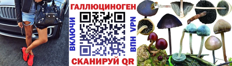 МЕГА ТОР  Усть-Катав  Псилоцибиновые грибы мухоморы 